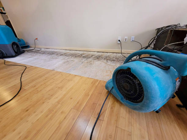 Reliable Basement Flood Cleanup contractor in Dinuba, CA by Hirex Water Damage