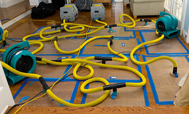 Professional Basement Flood Cleanup technician working in Dinuba, CA
